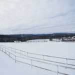 天空のピオーネ農園アグリスジャパン