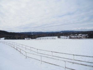 天空のピオーネ農園アグリスジャパン
