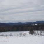 天空のピオーネ農園アグリスジャパン