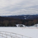 天空のピオーネ農園アグリスジャパン