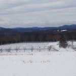 天空のピオーネ農園アグリスジャパン