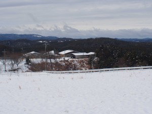 天空のピオーネ農園アグリスジャパン