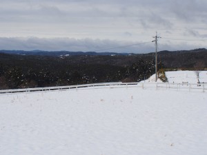 天空のピオーネ農園アグリスジャパン