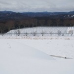 天空のピオーネ農園アグリスジャパン