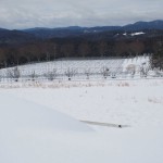 天空のピオーネ農園アグリスジャパン