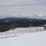 天空のピオーネ農園アグリスジャパン