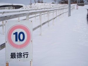 天空のピオーネ農園アグリスジャパン
