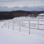 天空のピオーネ農園アグリスジャパン