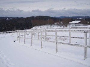 天空のピオーネ農園アグリスジャパン
