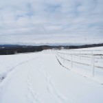天空のピオーネ農園アグリスジャパン
