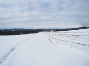 天空のピオーネ農園アグリスジャパン