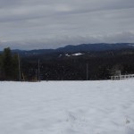 天空のピオーネ農園アグリスジャパン