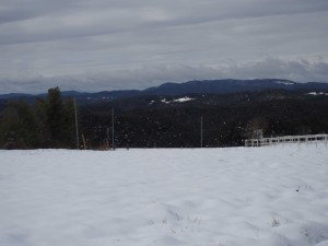 天空のピオーネ農園アグリスジャパン