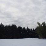 天空のピオーネ農園アグリスジャパン