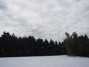 天空のピオーネ農園アグリスジャパン