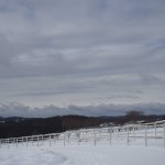 天空のピオーネ農園アグリスジャパン