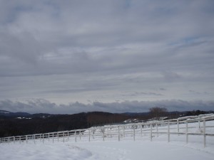 天空のピオーネ農園アグリスジャパン