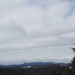 天空のピオーネ農園アグリスジャパン