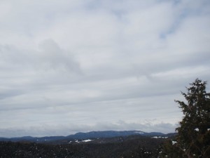 天空のピオーネ農園アグリスジャパン