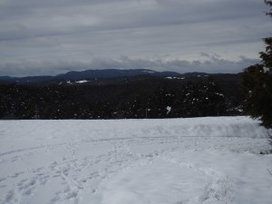 天空のピオーネ農園アグリスジャパン