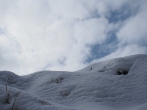 天空のピオーネ農園アグリスジャパン