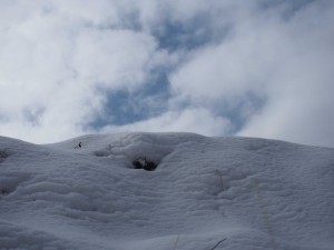 天空のピオーネ農園アグリスジャパン