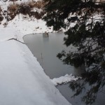 天空のピオーネ農園アグリスジャパン