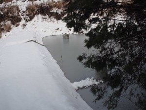 天空のピオーネ農園アグリスジャパン