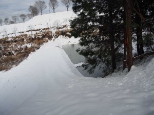 天空のピオーネ農園アグリスジャパン