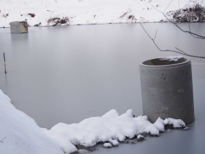 天空のピオーネ農園アグリスジャパン