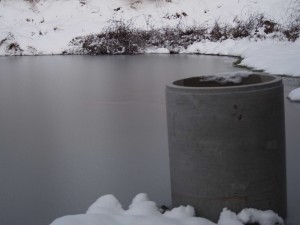 天空のピオーネ農園アグリスジャパン