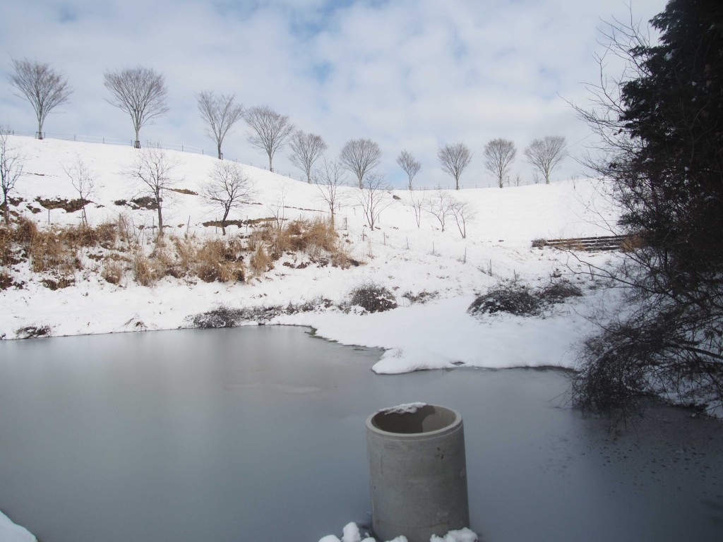 天空のピオーネ農園　写真ギャラリー 2014年2月8日（2）