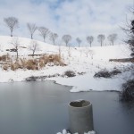 天空のピオーネ農園　写真ギャラリー 2014年2月8日（2）