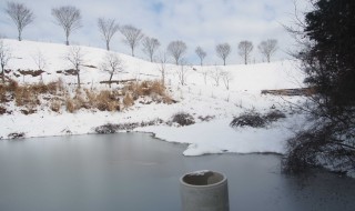 天空のピオーネ農園 写真ギャラリー 2014年2月8日(2)