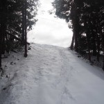 天空のピオーネ農園アグリスジャパン