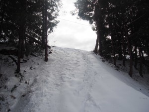天空のピオーネ農園アグリスジャパン