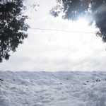 天空のピオーネ農園アグリスジャパン