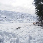 天空のピオーネ農園アグリスジャパン
