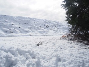 天空のピオーネ農園アグリスジャパン