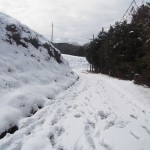 天空のピオーネ農園アグリスジャパン