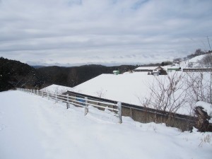 天空のピオーネ農園アグリスジャパン