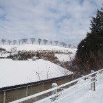 天空のピオーネ農園アグリスジャパン