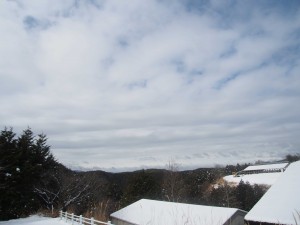 天空のピオーネ農園アグリスジャパン