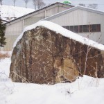 天空のピオーネ農園アグリスジャパン