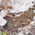 天空のピオーネ農園アグリスジャパン