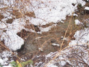 天空のピオーネ農園アグリスジャパン