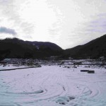 岡山吉備中央町ぶどうピオーネ