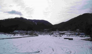 岡山吉備中央町ぶどうピオーネ