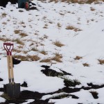 天空のピオーネ農園アグリスジャパン