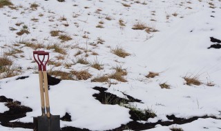 天空のピオーネ農園アグリスジャパン